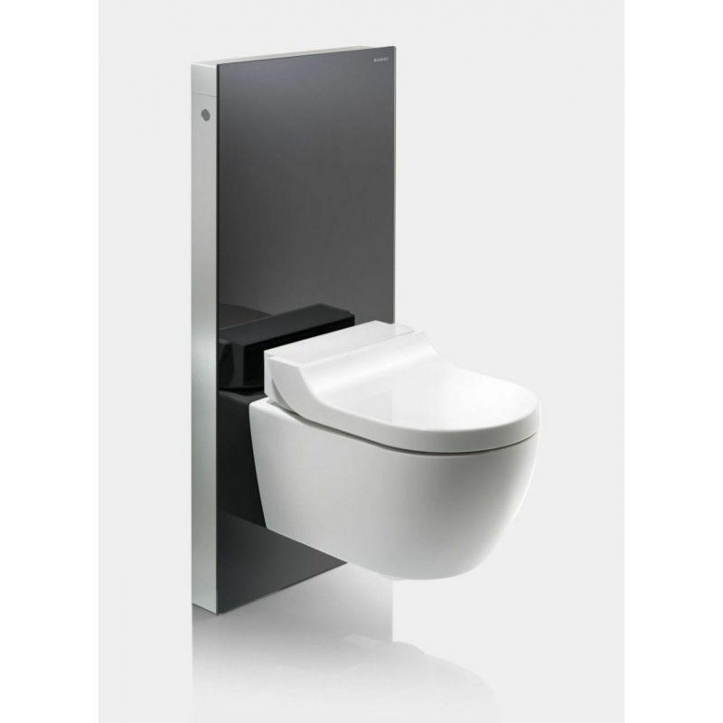 Monolith Sanitary Module For Wall Hung Wc And Aquaclean Sela Black