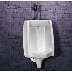 Mini washbrook urinal with...